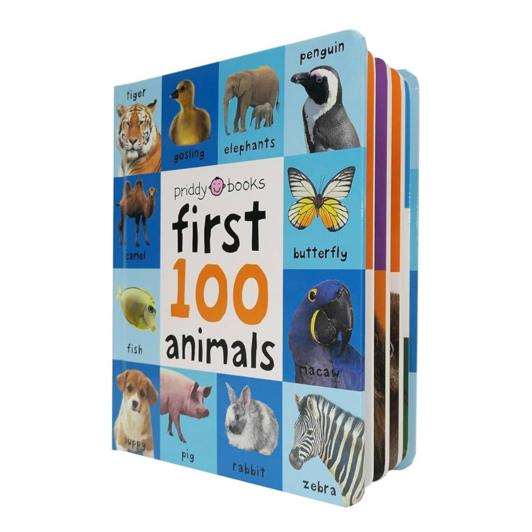 كتاب أول 100 حيوان 