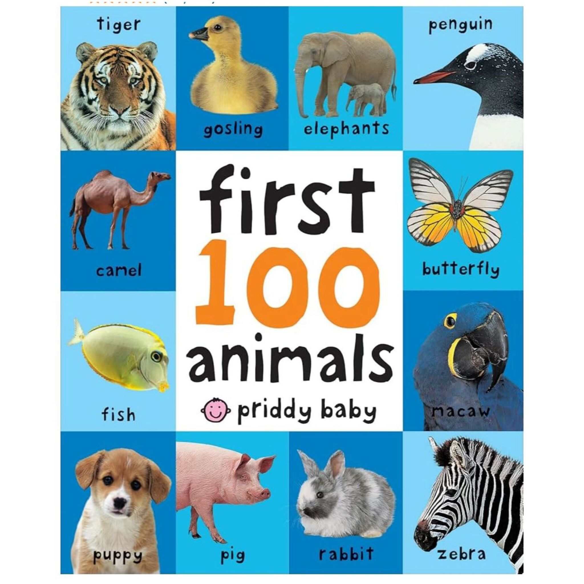 First 100 Animals Book