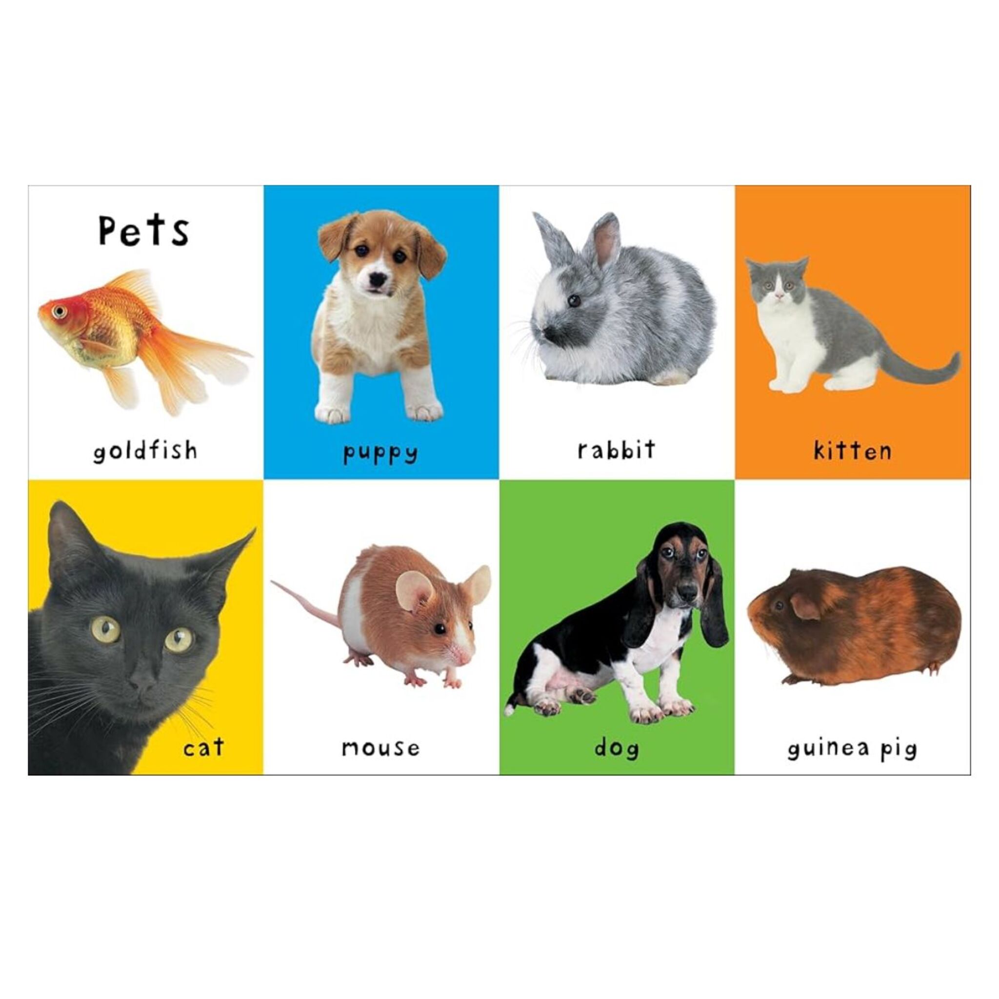 First 100 Animals Book