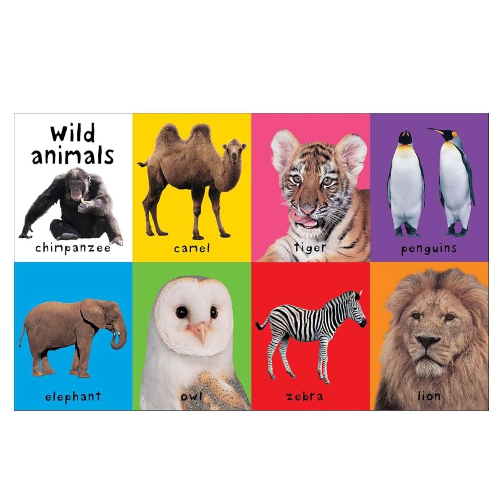 First 100 Animals Book